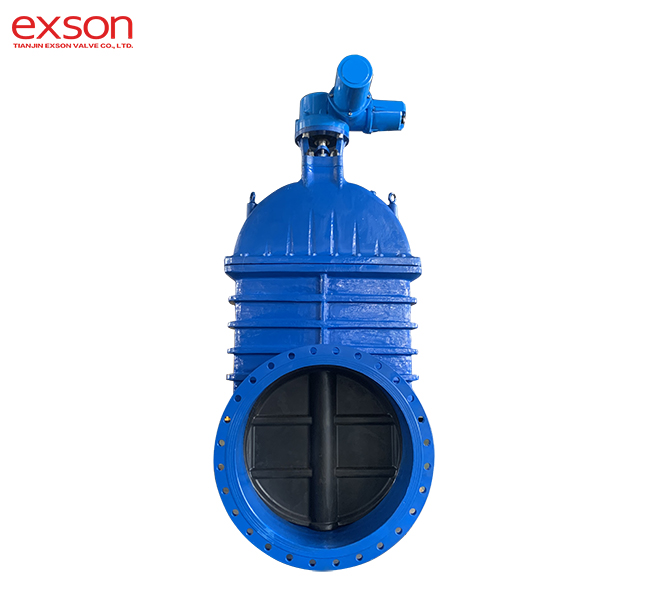 Gate Valve with electric actuator